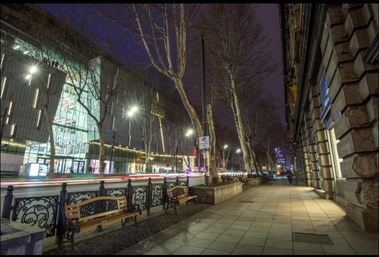 Rustaveli Apartment City Centre Тбилиси Екстериор снимка